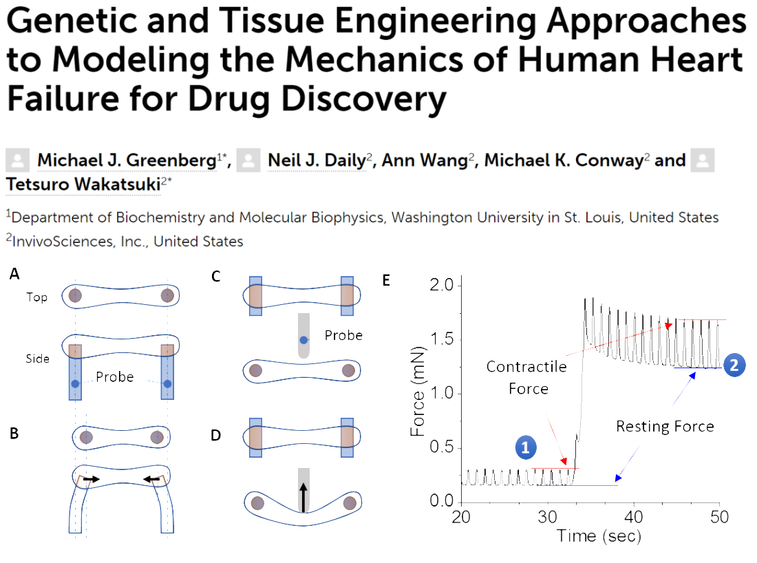 cropped-Genetic-and-Tissue-Engineering-Approaches-White.png